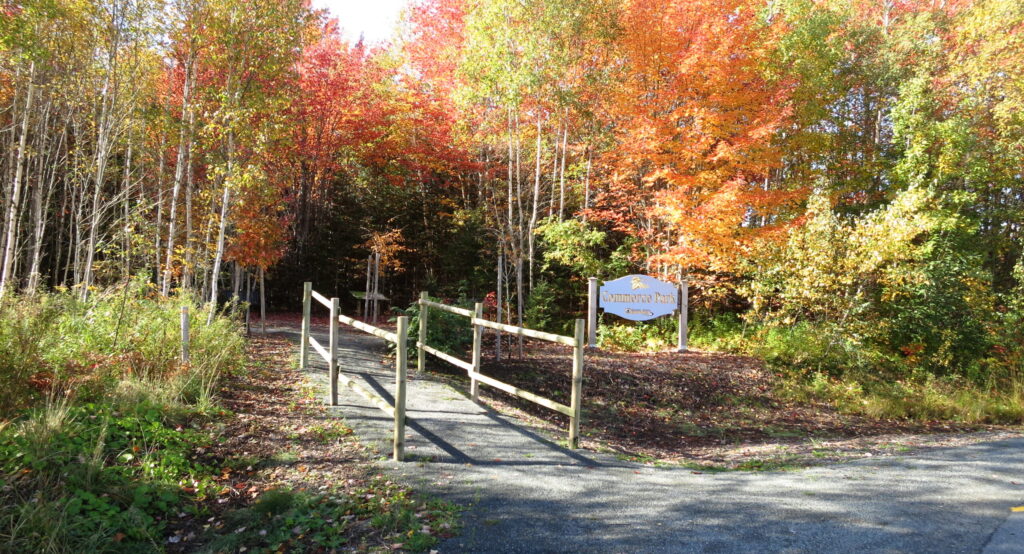 Colourful fall leaves on trees at the entrance to Commerce Park and walking trail.