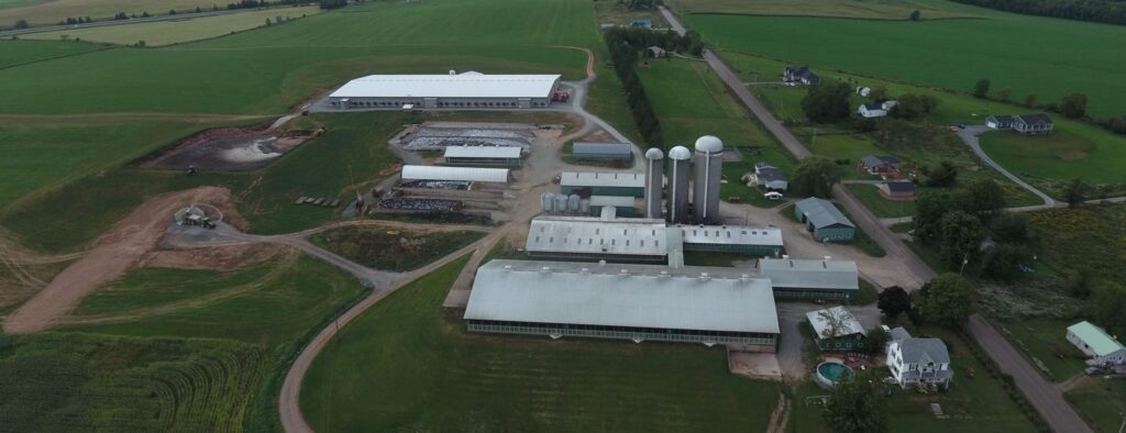 Aerial view of a large farm with multiple barns and a white farmhouse.