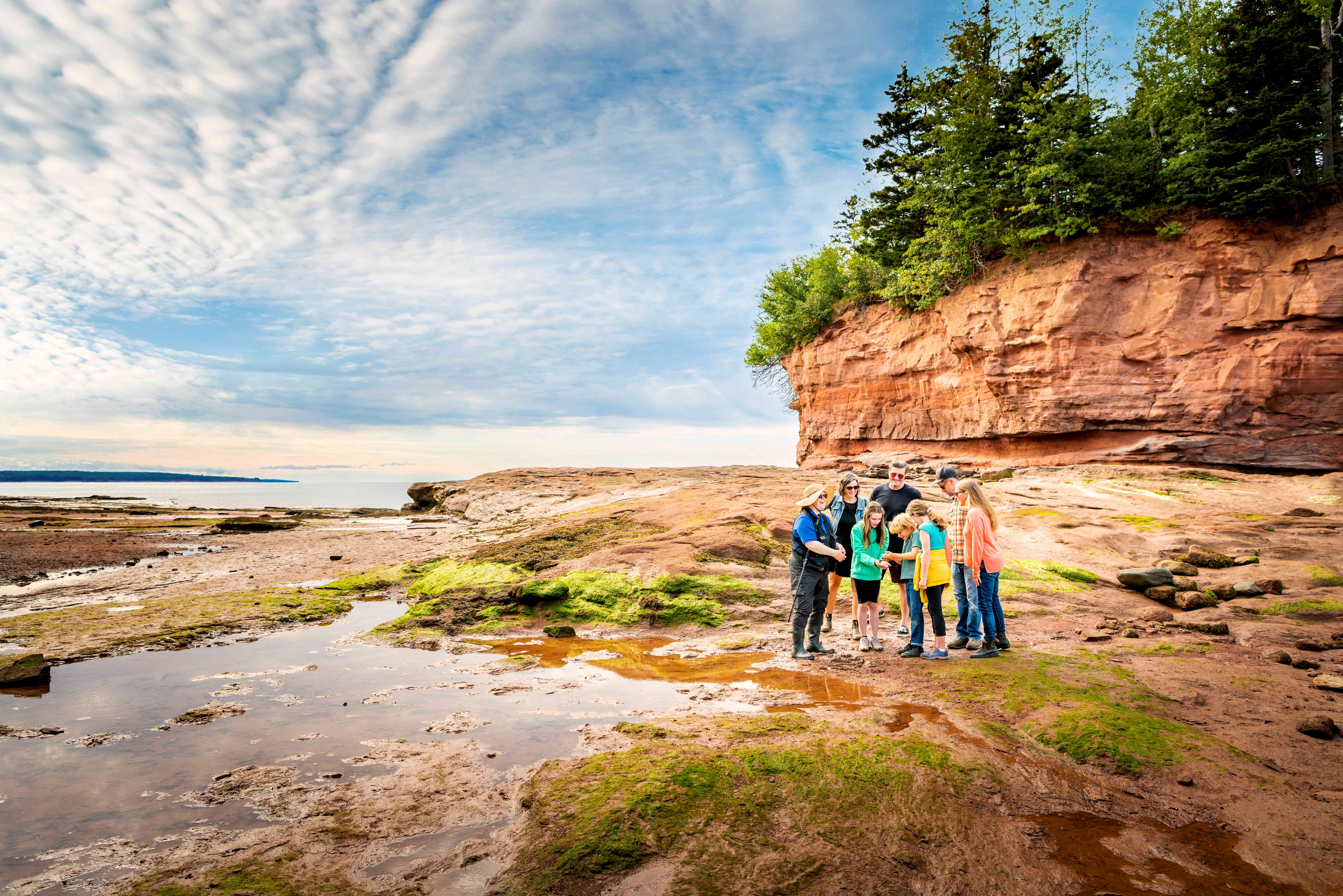 Group of visitors and tour guide on the ocean floor at Burntcoat Head Park