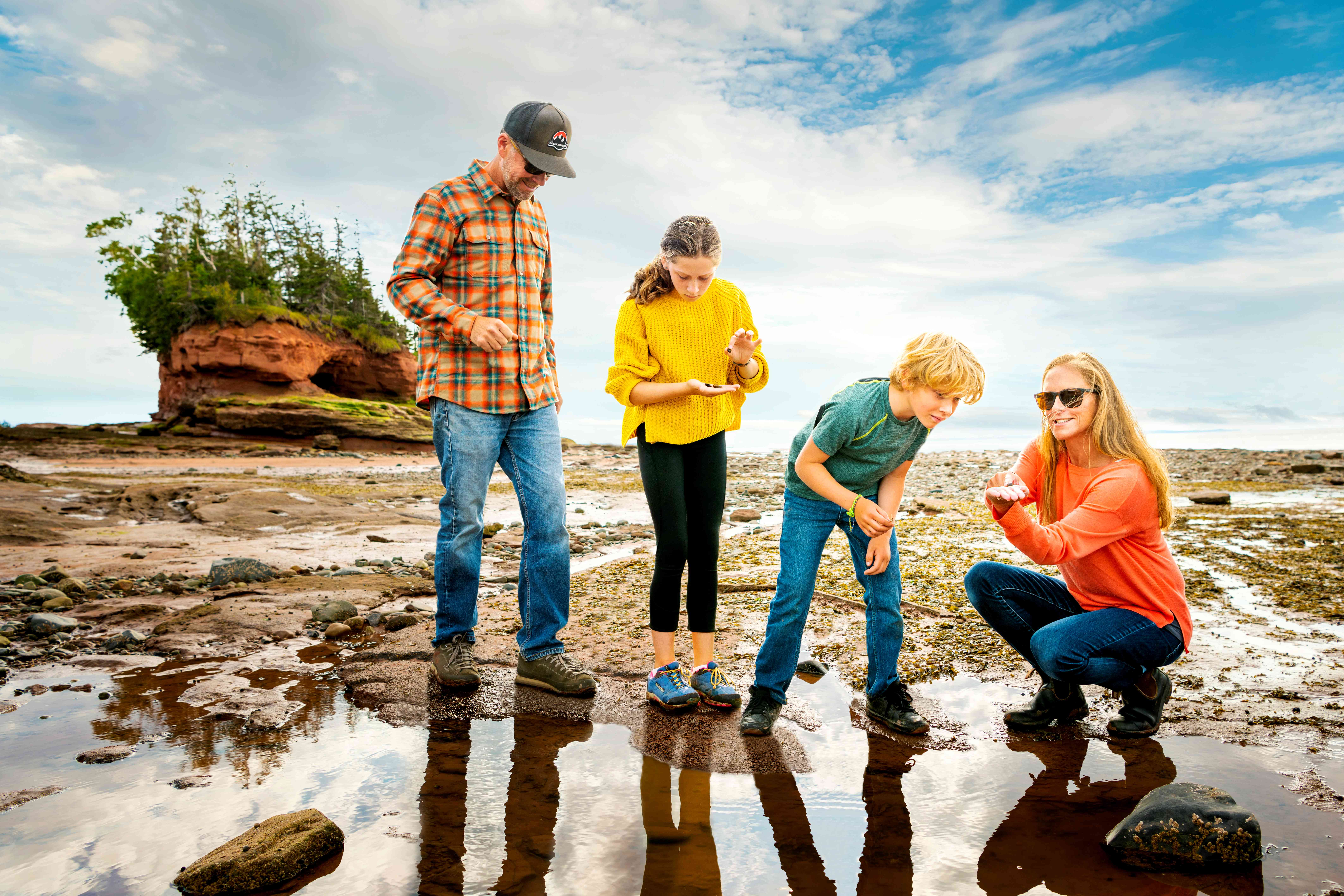 family looks at shells they found on the ocean floor