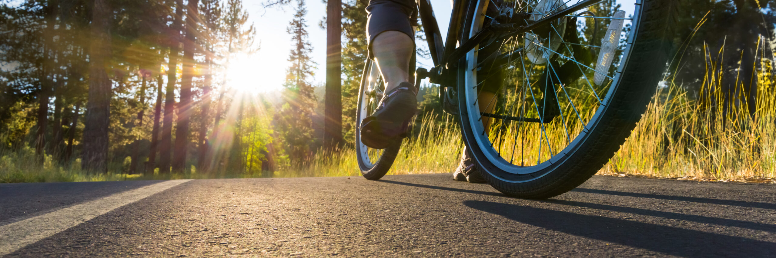 A bike on asphalt in the morning sun