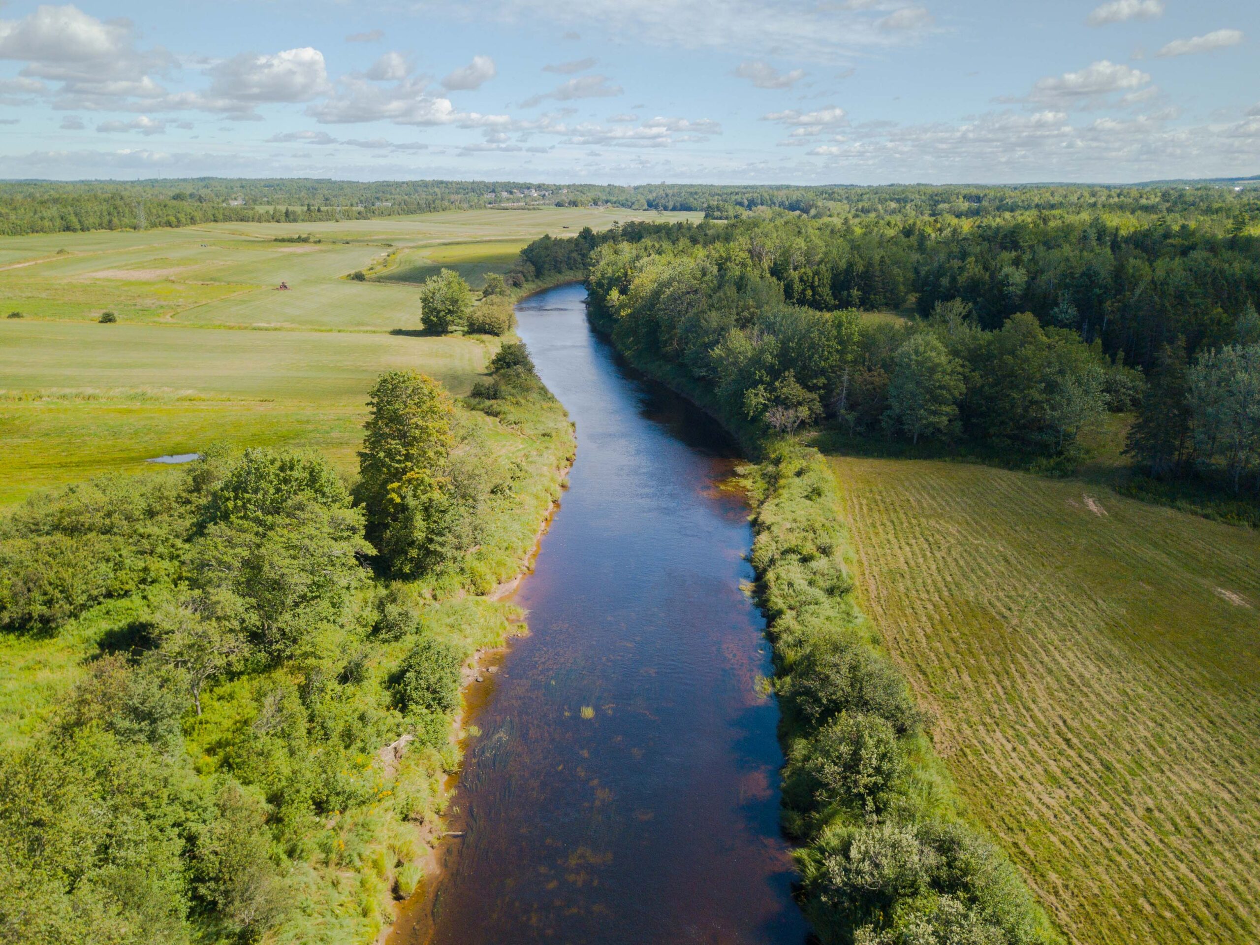 the shubenacadie river with lush green trees and fields around it
