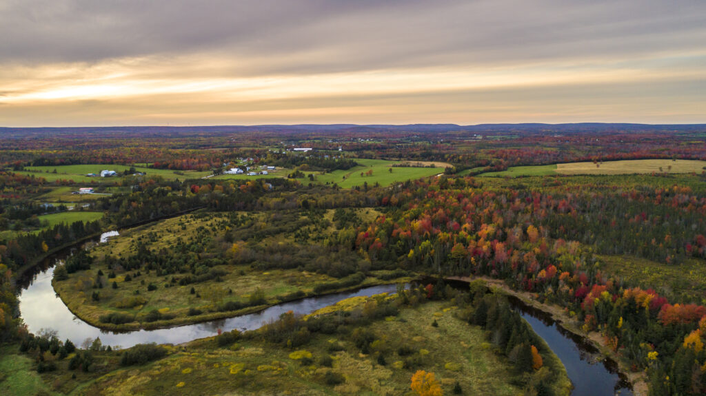 the community of nine mile river during the fall