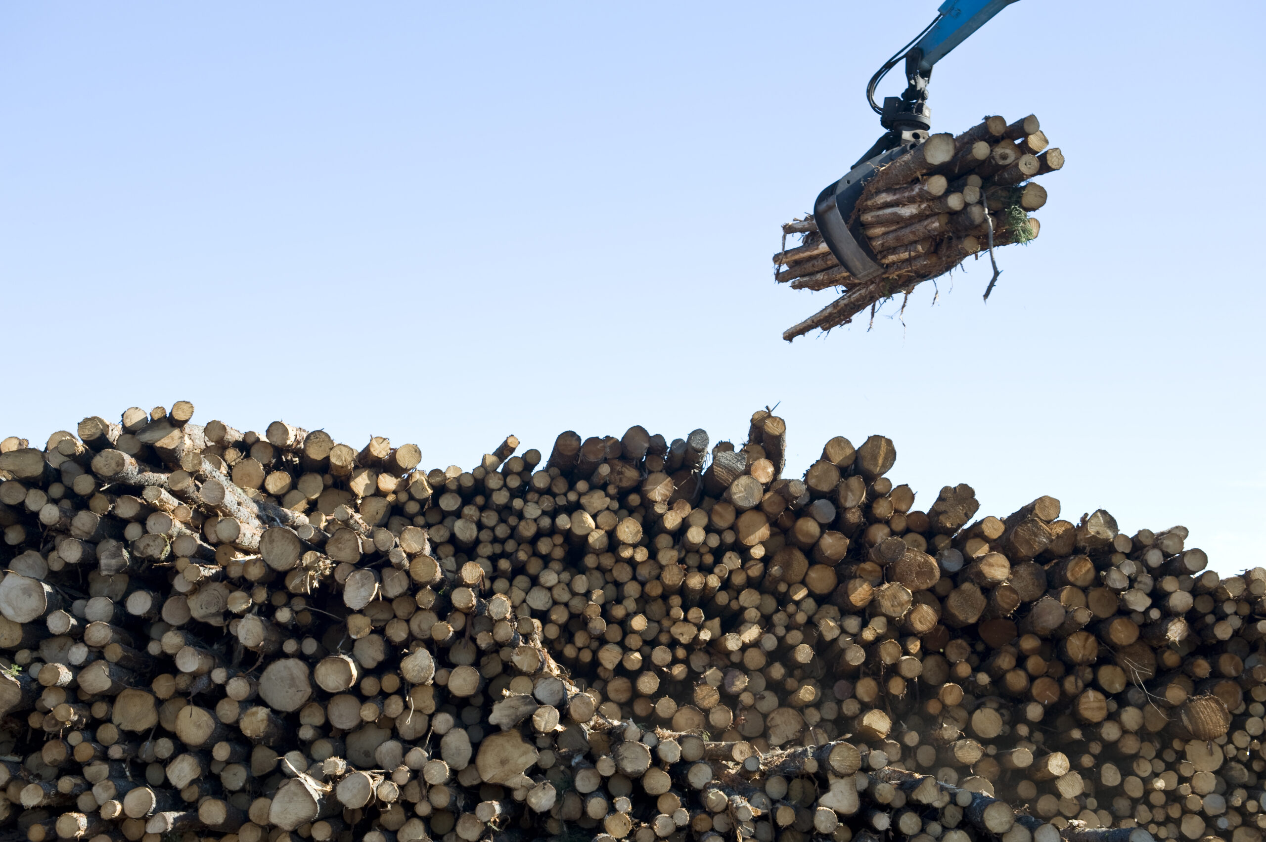 a bundle of logs being lifted by a crane above a pile of other logs