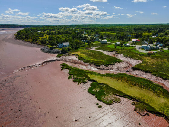 Dawson Dowell 2023-5